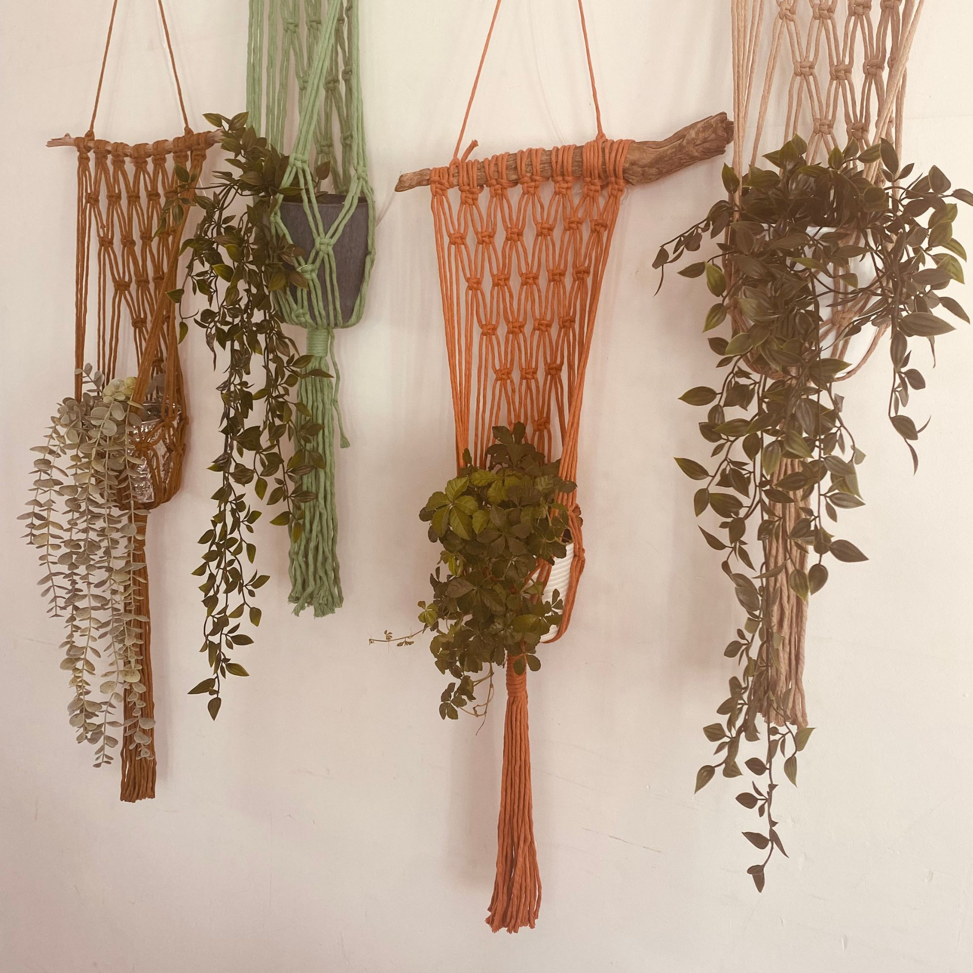 DIY Wandplantenhanger